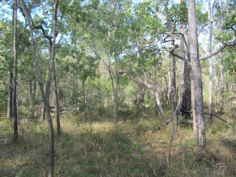 Lot 5 Old Toweran Road, Berajondo QLD 4674