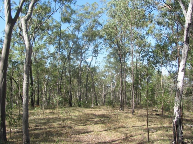 Lot 5 Old Toweran Road, Berajondo QLD 4674