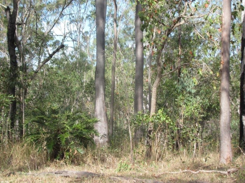 Lot 5 Old Toweran Road, Berajondo QLD 4674