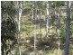 Lot 5 Old Toweran Road, Berajondo QLD 4674