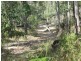 Lot 5 Old Toweran Road, Berajondo QLD 4674