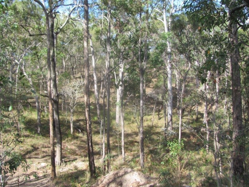Lot 5 Old Toweran Road, Berajondo QLD 4674