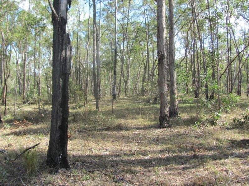 Lot 5 Old Toweran Road, Berajondo QLD 4674