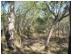 Lot 5 Old Toweran Road, Berajondo QLD 4674