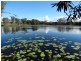 156 Capricornia Drive, Deepwater QLD 4674