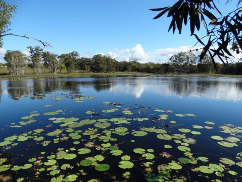156 Capricornia Drive, Deepwater QLD 4674