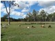 144 Kassman Drive, Rosedale QLD 4674
