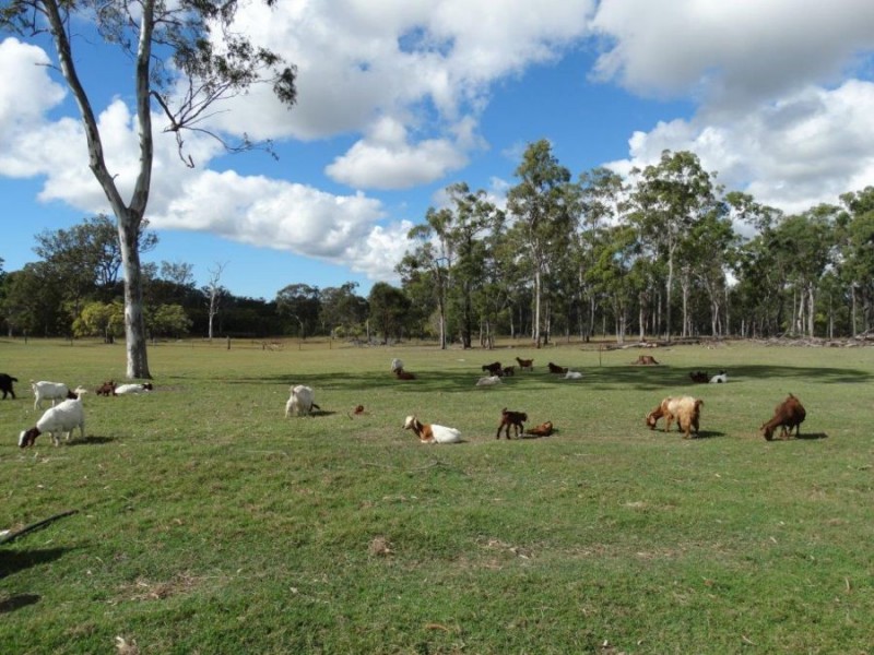 144 Kassman Drive, Rosedale QLD 4674