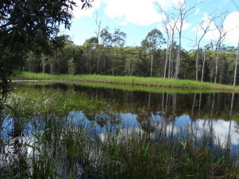 144 Kassman Drive, Rosedale QLD 4674