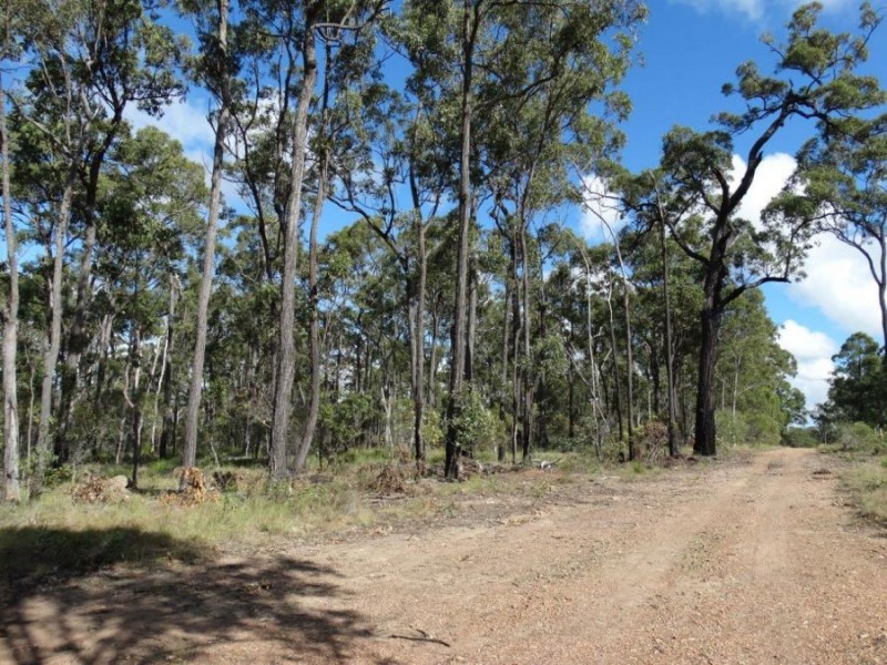 144 Kassman Drive, Rosedale QLD 4674