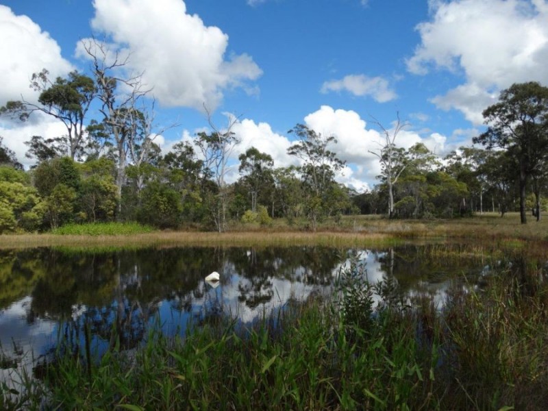 144 Kassman Drive, Rosedale QLD 4674