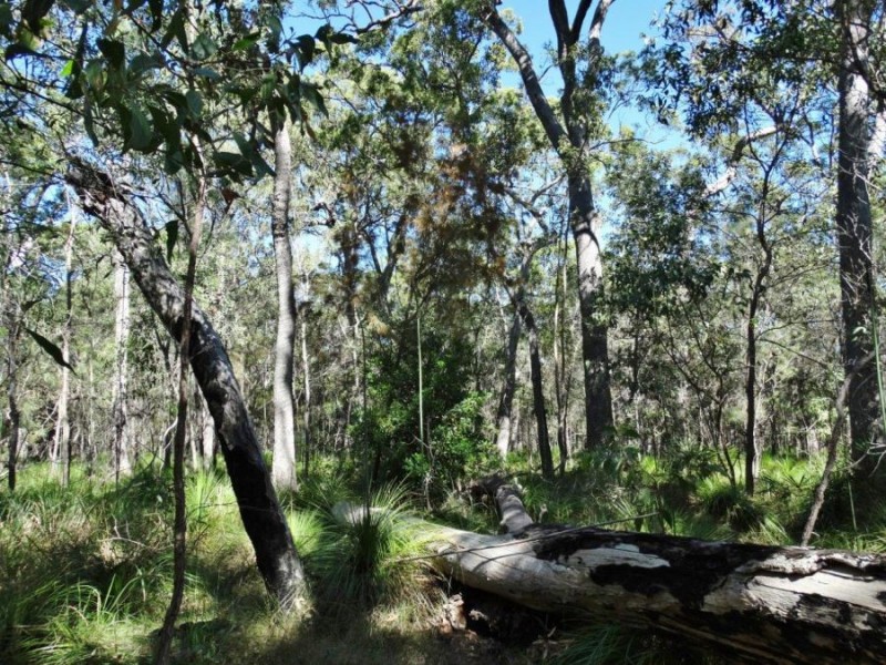 Lot 4 Deepwater Road, Deepwater QLD 4674