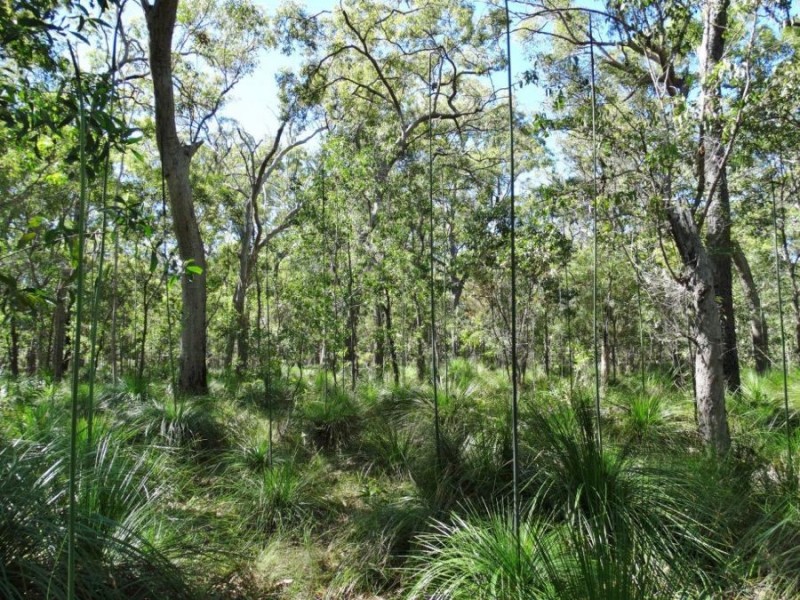 Lot 4 Deepwater Road, Deepwater QLD 4674