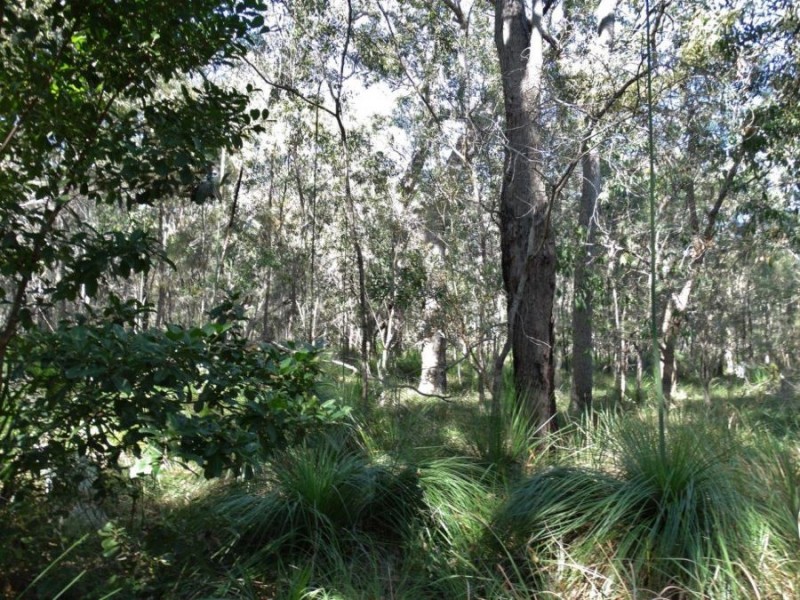 Lot 4 Deepwater Road, Deepwater QLD 4674