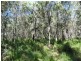 Lot 4 Deepwater Road, Deepwater QLD 4674