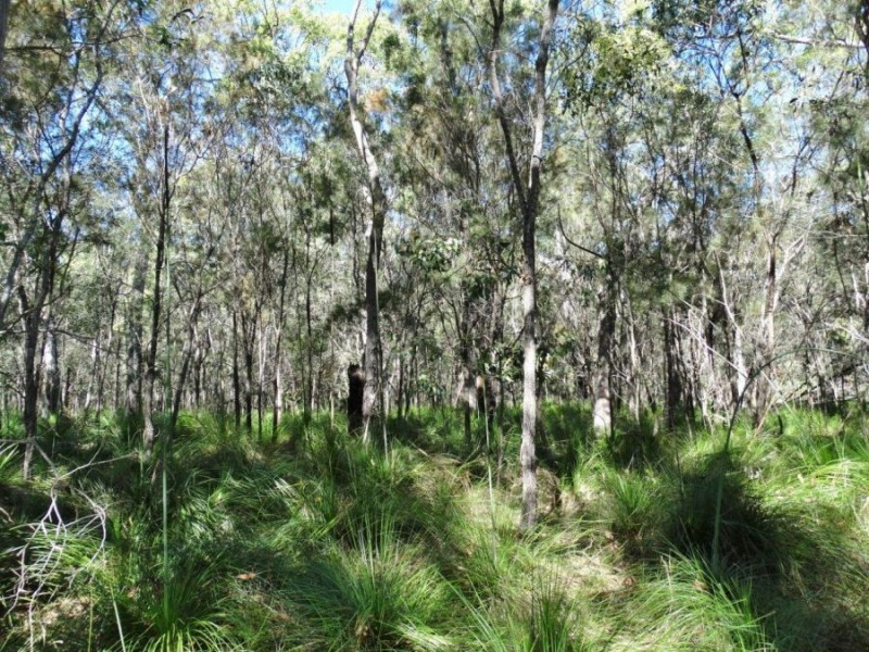 Lot 4 Deepwater Road, Deepwater QLD 4674