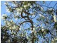 Lot 4 Deepwater Road, Deepwater QLD 4674