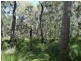 Lot 4 Deepwater Road, Deepwater QLD 4674