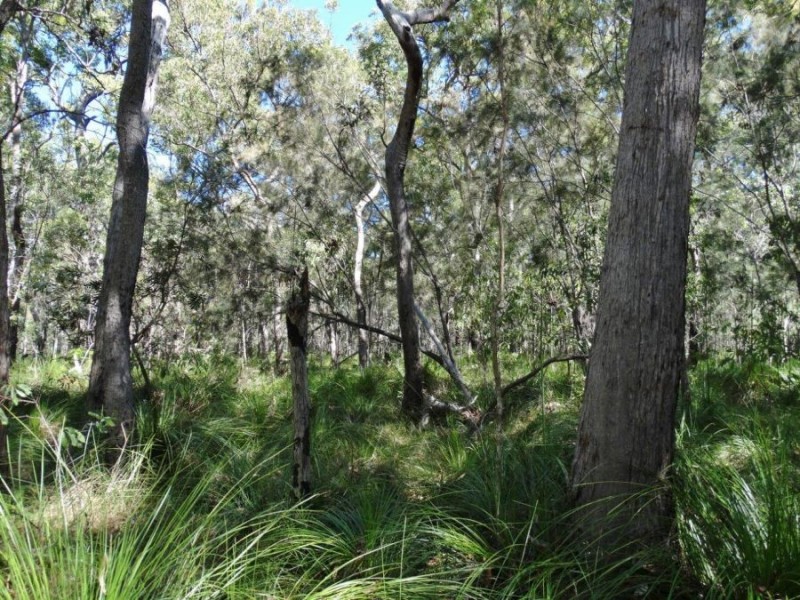 Lot 4 Deepwater Road, Deepwater QLD 4674