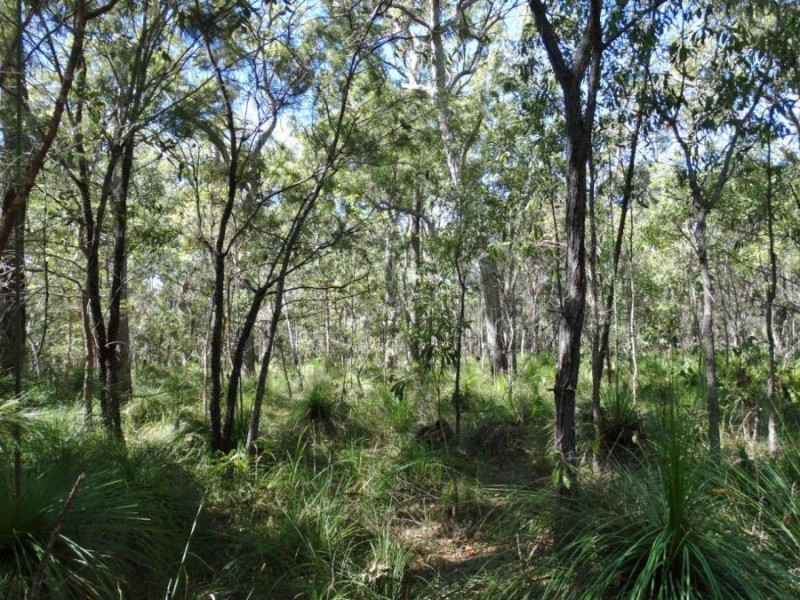 Lot 4 Deepwater Road, Deepwater QLD 4674