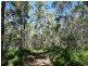 Lot 4 Deepwater Road, Deepwater QLD 4674