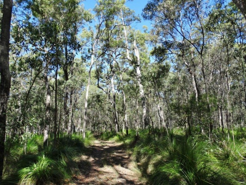 Lot 4 Deepwater Road, Deepwater QLD 4674