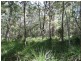 Lot 4 Deepwater Road, Deepwater QLD 4674