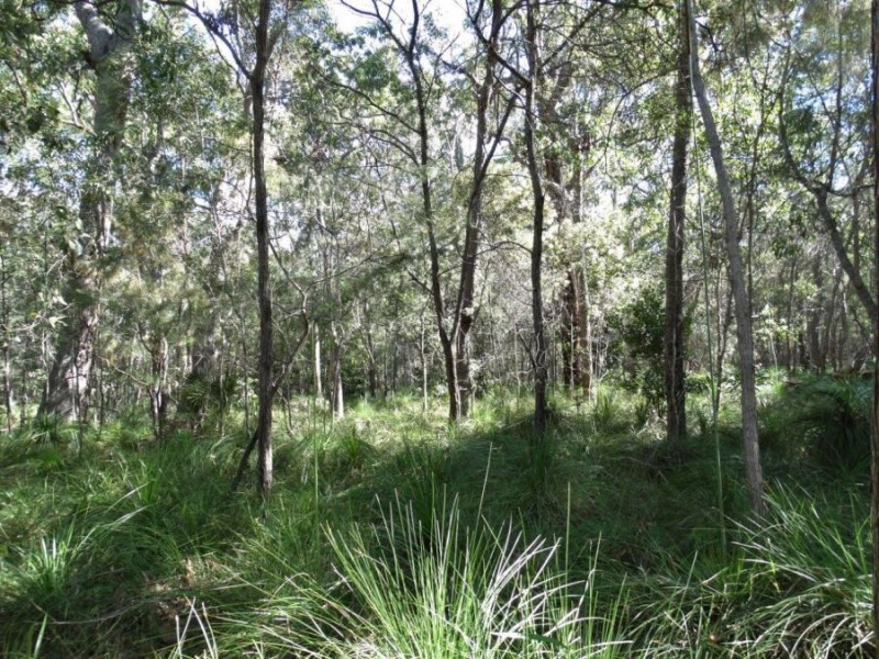 Lot 4 Deepwater Road, Deepwater QLD 4674