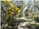 Lot 4 Deepwater Road, Deepwater QLD 4674