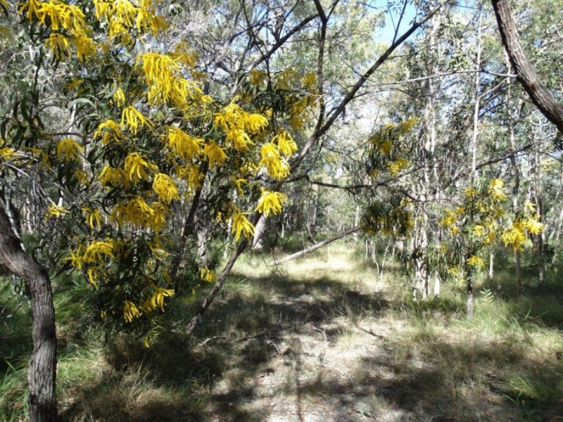 Lot 4 Deepwater Road, Deepwater QLD 4674