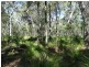 Lot 4 Deepwater Road, Deepwater QLD 4674
