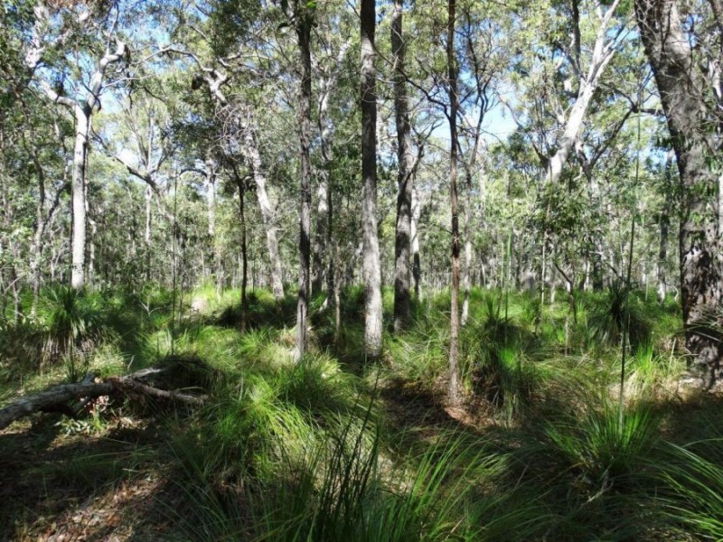 Lot 4 Deepwater Road, Deepwater QLD 4674