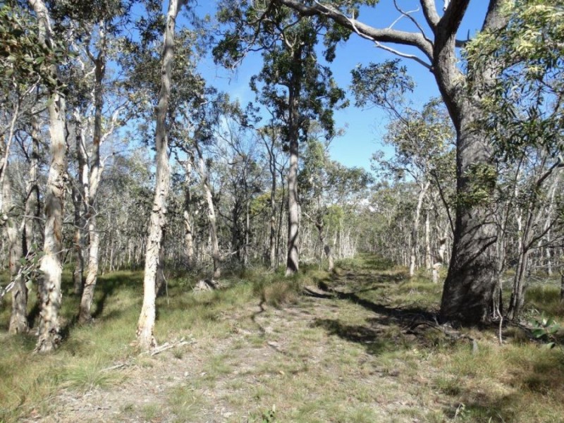 Lot 4 Deepwater Road, Deepwater QLD 4674