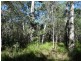 Lot 4 Deepwater Road, Deepwater QLD 4674