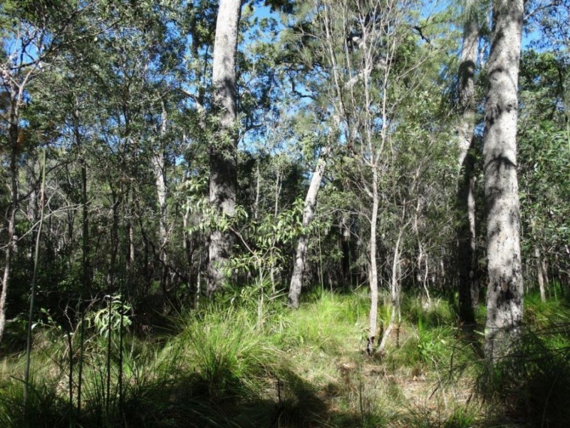 Lot 4 Deepwater Road, Deepwater QLD 4674