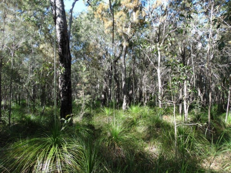 Lot 4 Deepwater Road, Deepwater QLD 4674