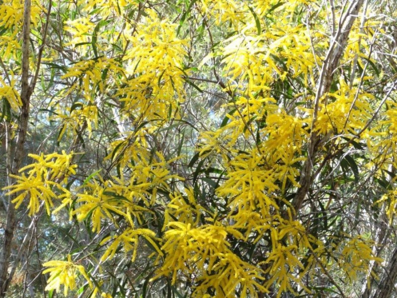 Lot 4 Deepwater Road, Deepwater QLD 4674