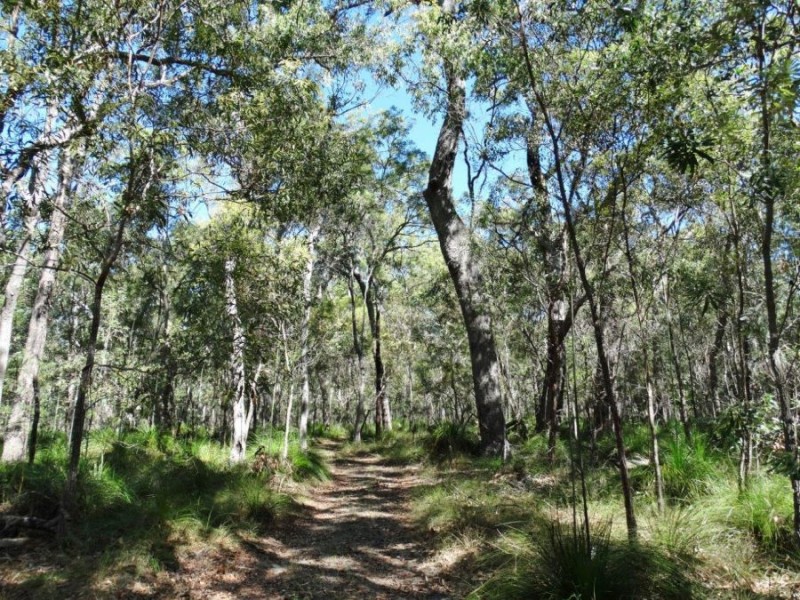 Lot 4 Deepwater Road, Deepwater QLD 4674