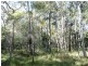 Lot 4 Deepwater Road, Deepwater QLD 4674