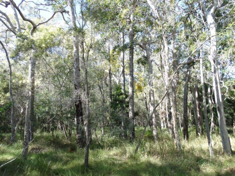 Lot 4 Deepwater Road, Deepwater QLD 4674