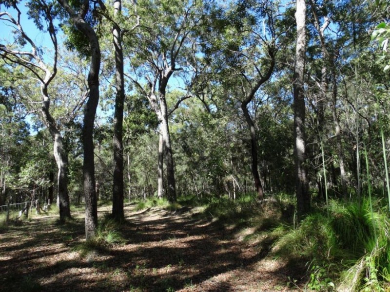 Lot 4 Deepwater Road, Deepwater QLD 4674