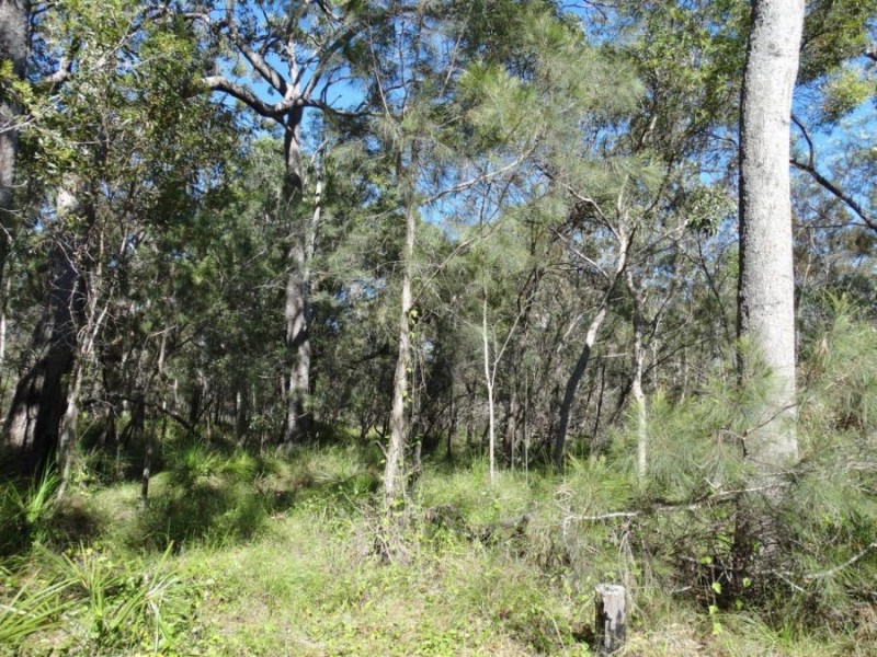 Lot 4 Deepwater Road, Deepwater QLD 4674