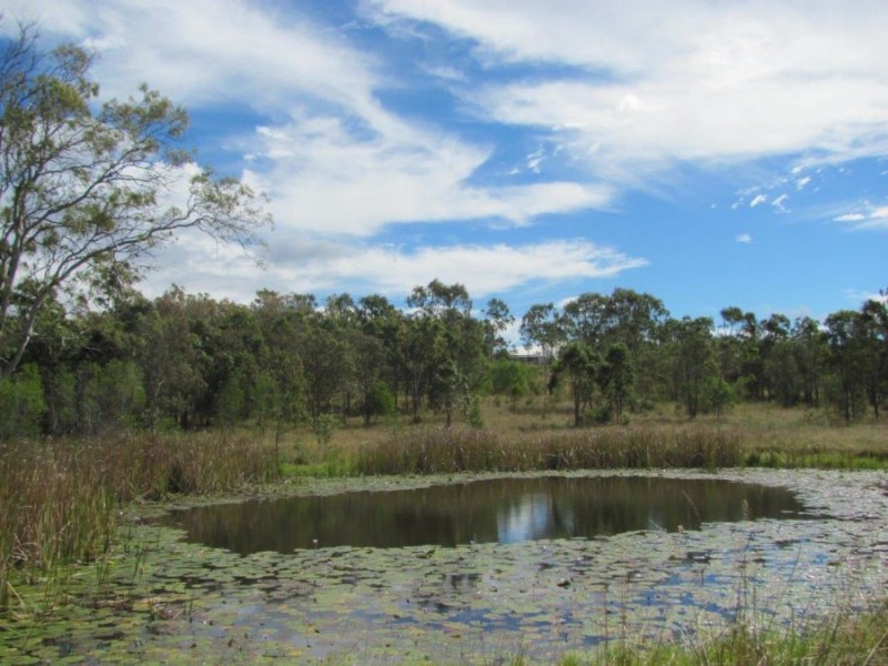 882 Gorge Road, Taunton QLD 4674