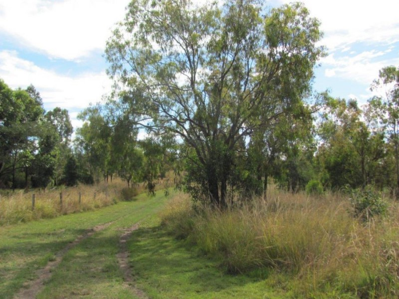 882 Gorge Road, Taunton QLD 4674