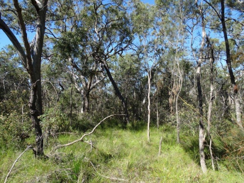 497 Pacific Drive, Deepwater QLD 4674