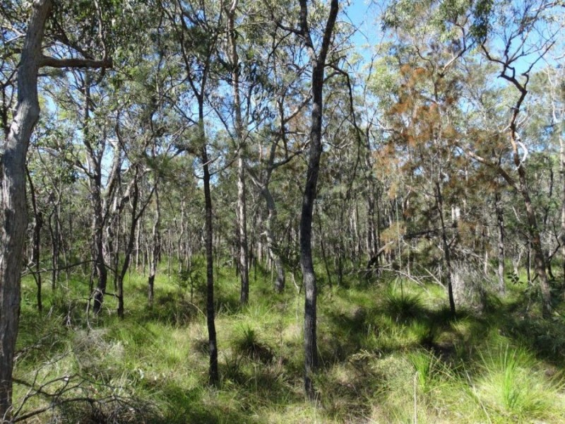 497 Pacific Drive, Deepwater QLD 4674