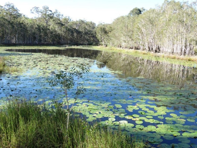 Lot 97 Steeds Road, Winfield QLD 4670