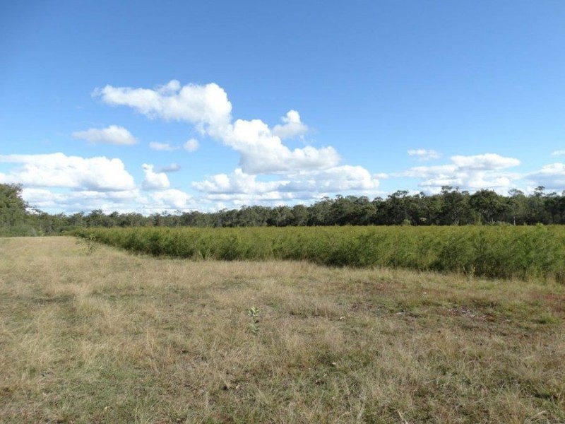Lot 97 Steeds Road, Winfield QLD 4670
