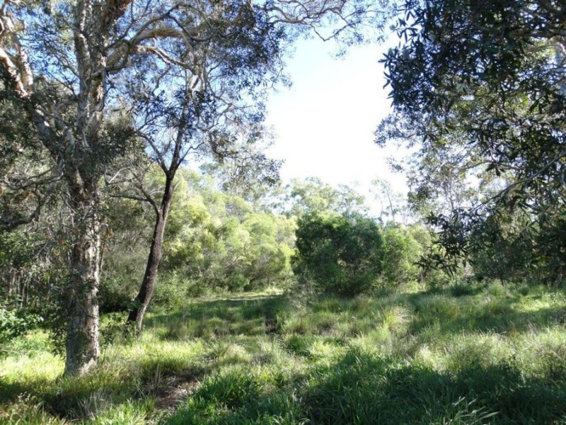 Lot 97 Steeds Road, Winfield QLD 4670
