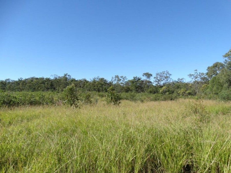 Lot 97 Steeds Road, Winfield QLD 4670
